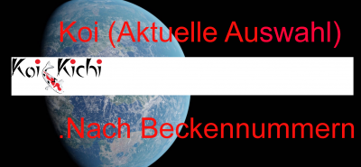 Nach Beckennummern